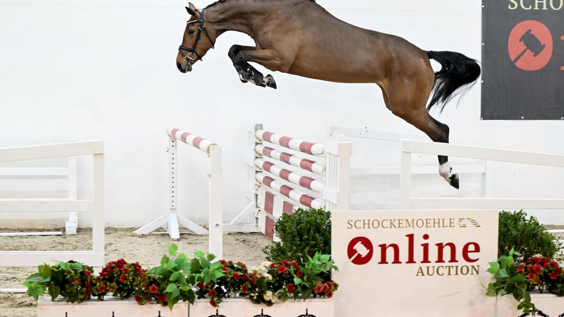 11 220531 03 26 07 0456