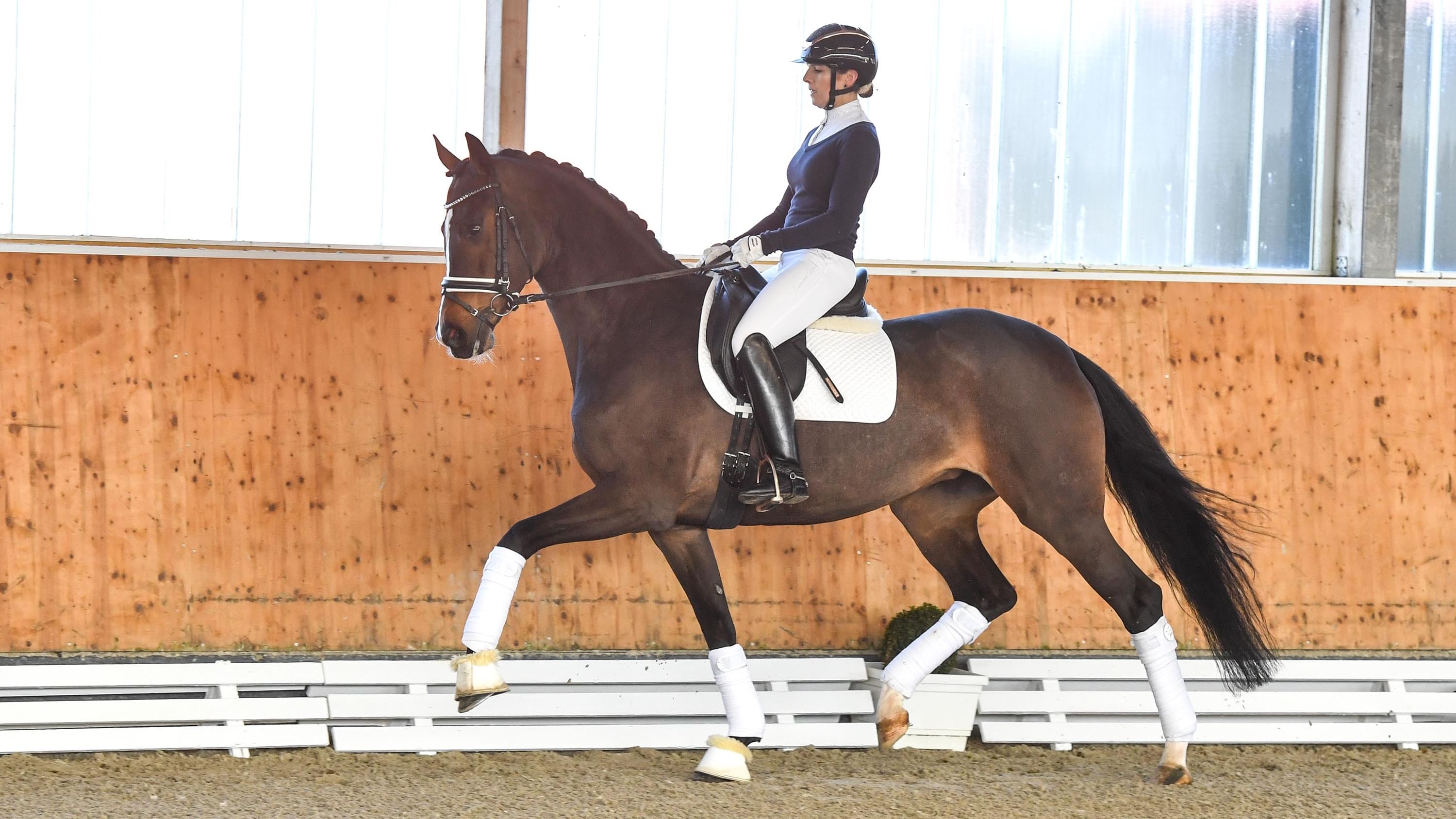 180144 03 23 08 0304