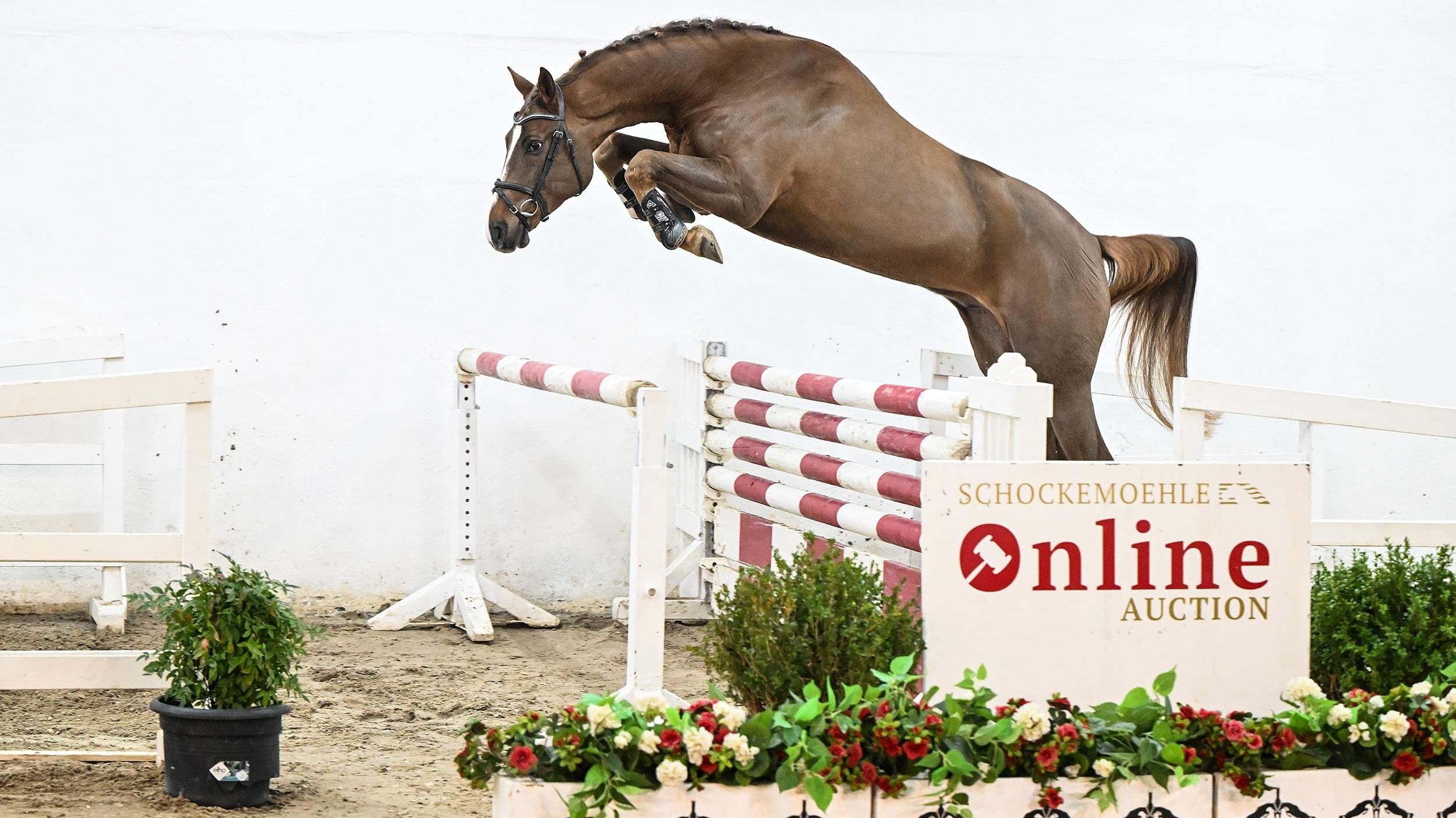 205156 12 24 03 1318