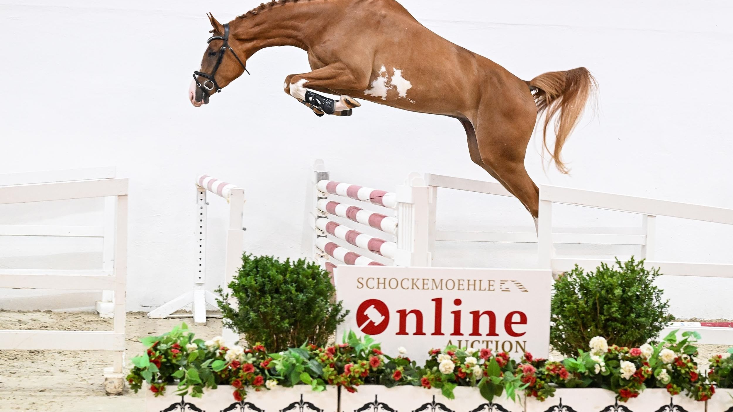 215779 Charino Con Air 07 25 11 0946