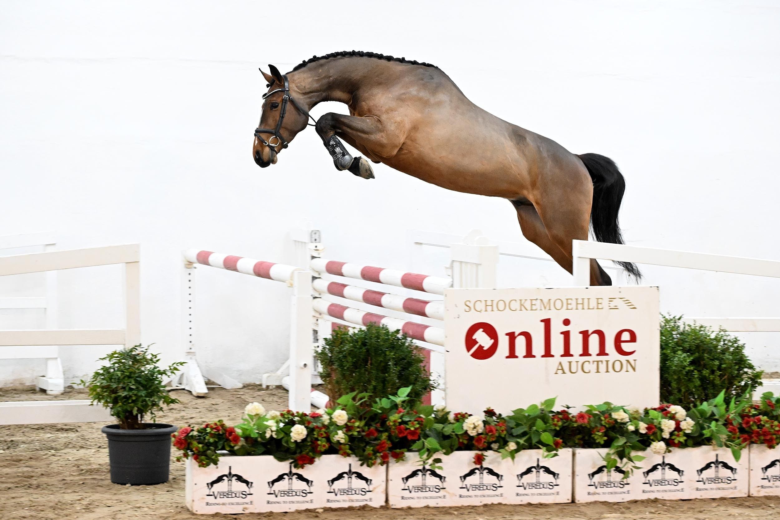 215391 03 25 06 1042