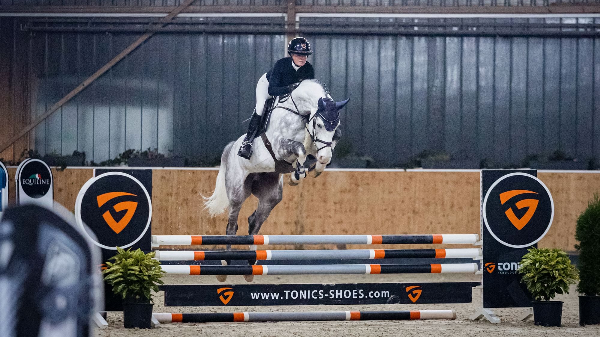 221118 Schockemöhle 19 182 Django cc