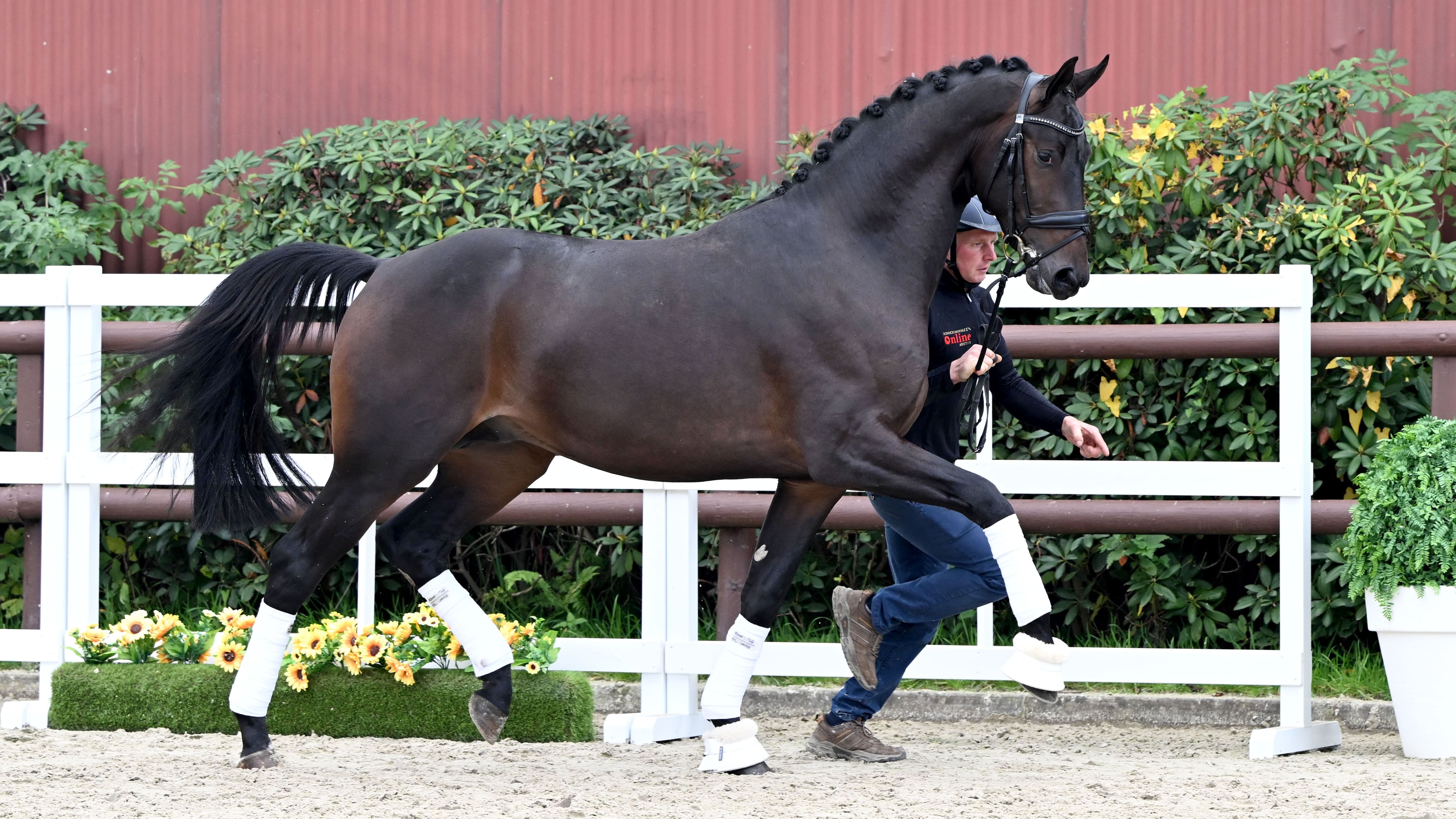 235493 10 25 02 1803