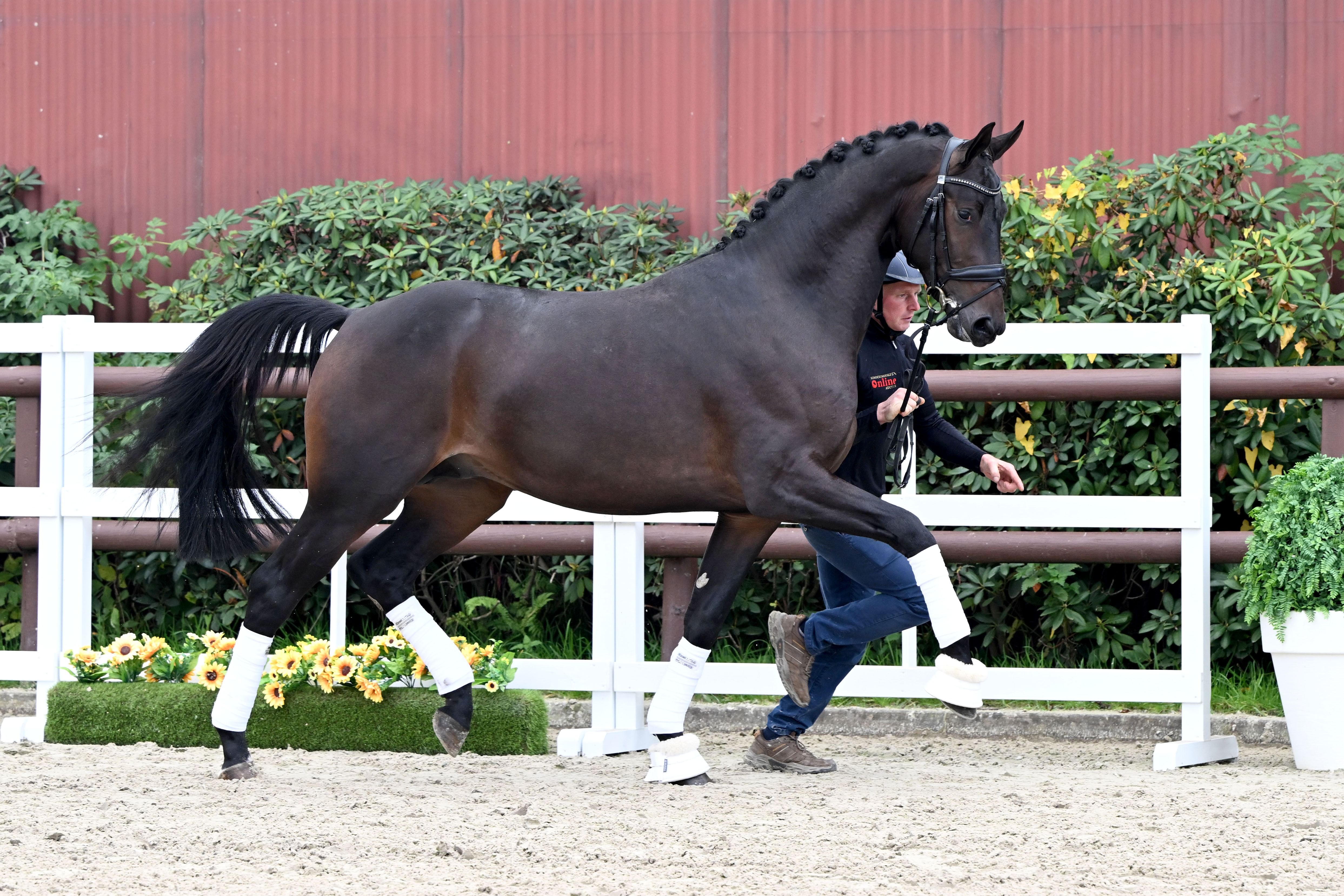 235493 10 25 02 1803