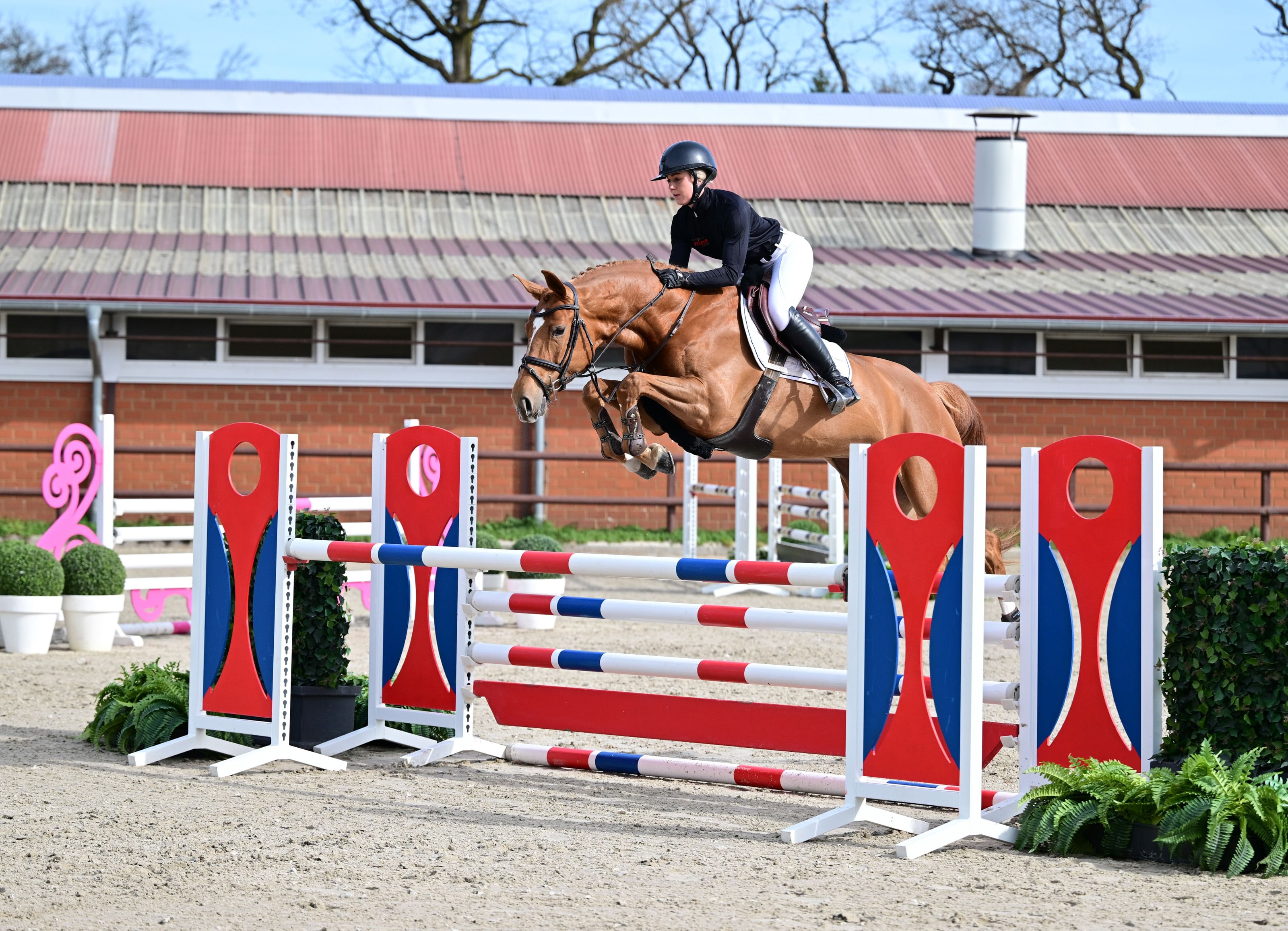 Batrizia Blue PS MGF 1151