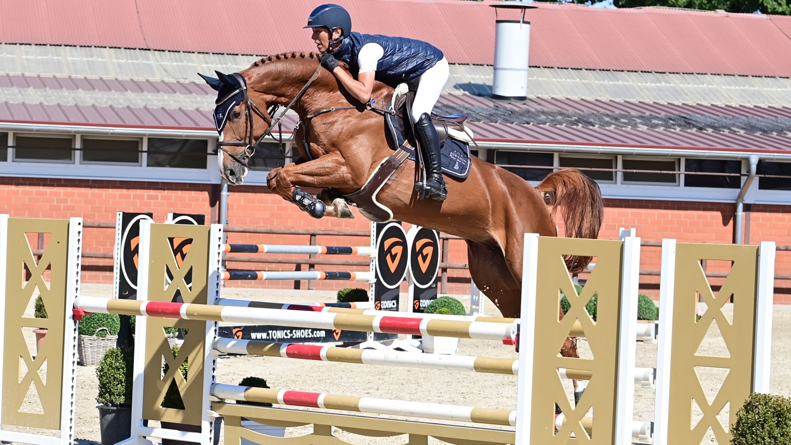 Chacentula PS DSC 5637