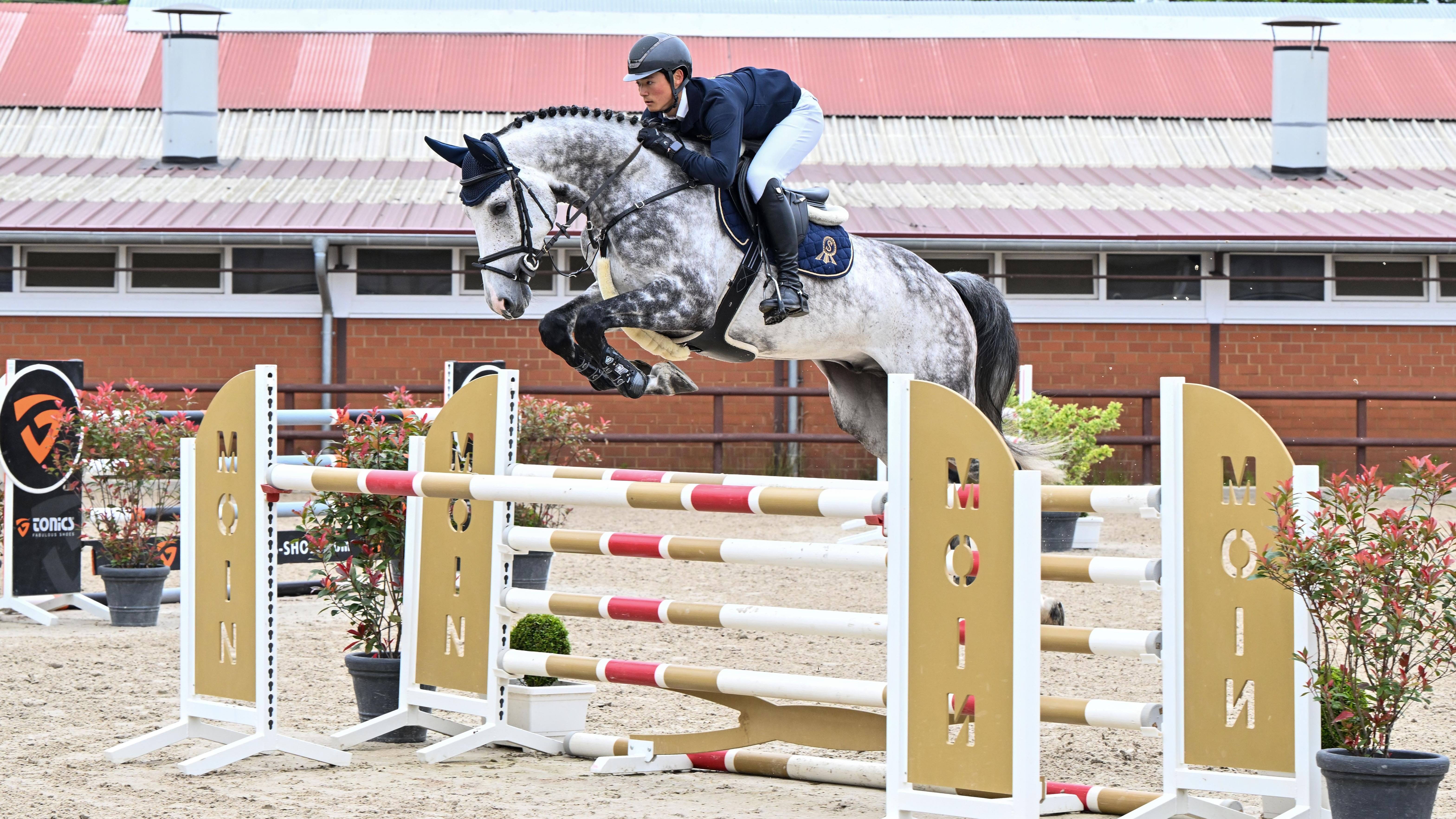 Charessino PS 05 23 24 481