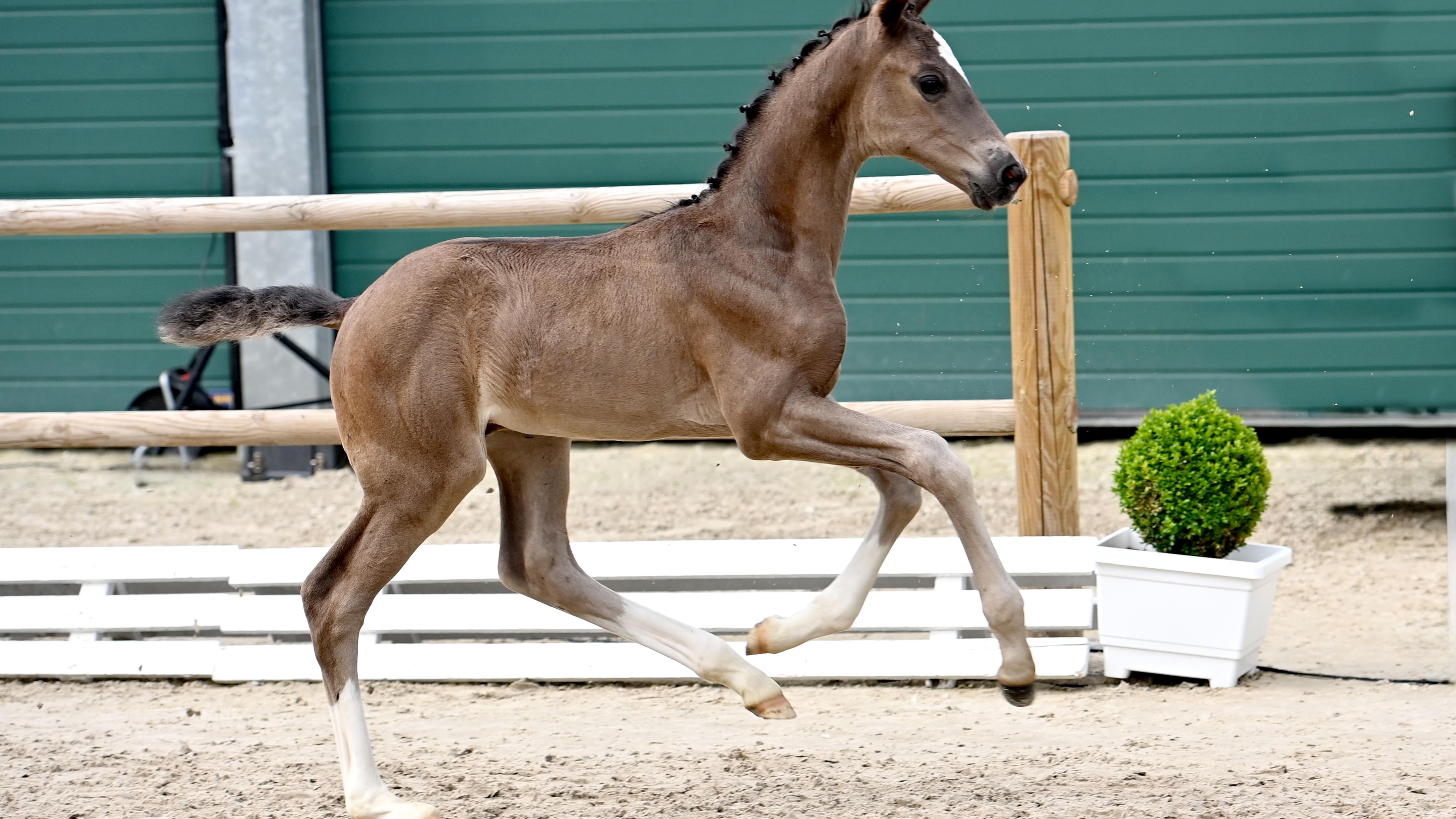 Nr 659 07 23 17 2599