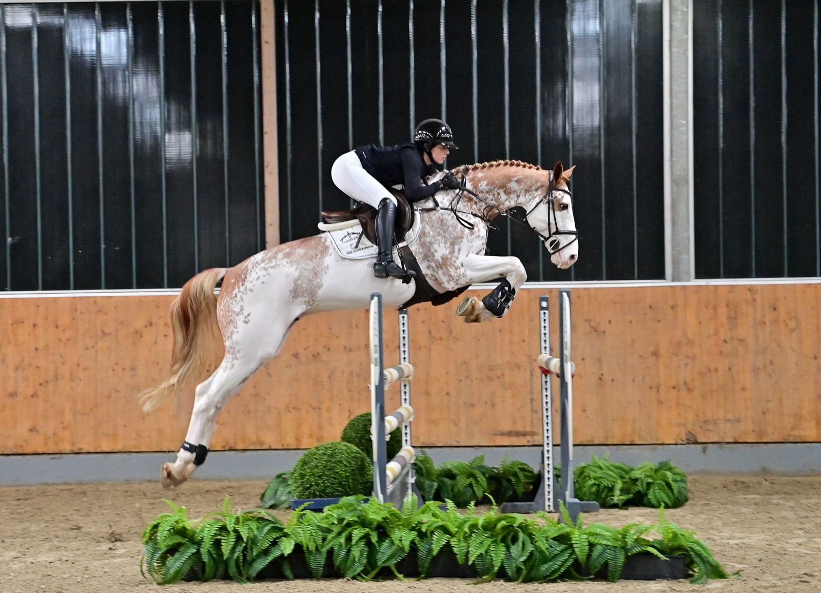 Quite Coloured DSC 3389