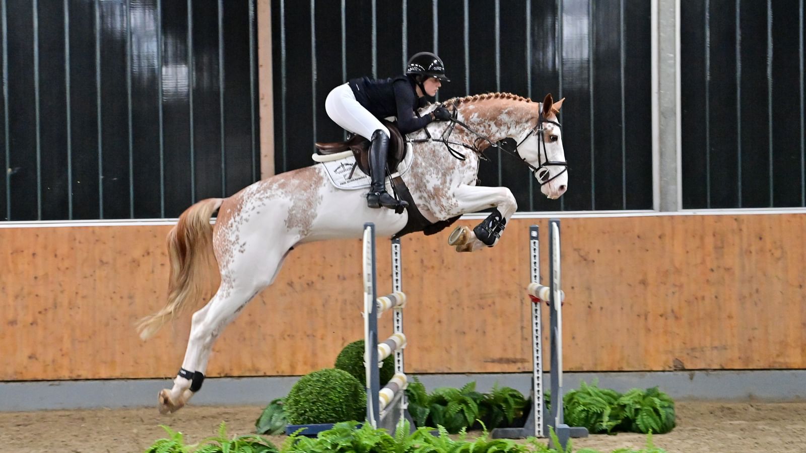 Quite Coloured DSC 3389