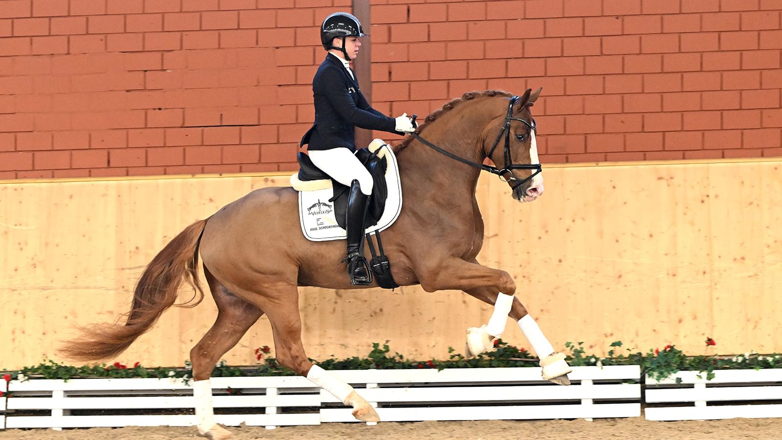 Tattoo PS 2 225079 Total Hope x Vivaldi 02 26 12 1527